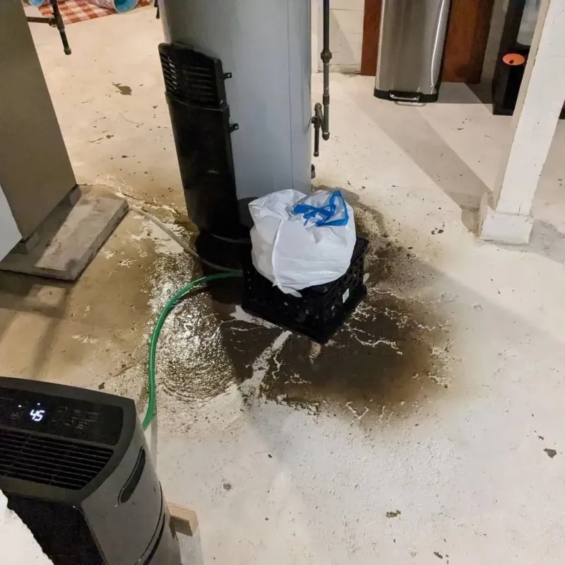 Sewage Backup Cleanup Service in Bladensburg, MD